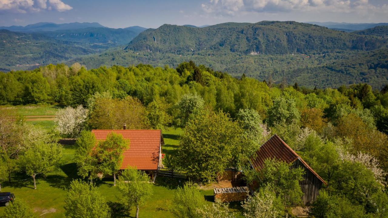 Holiday Home "Sleme" With Jacuzzi, Big Garden And Arbor With Fireplace Skrad Luaran gambar